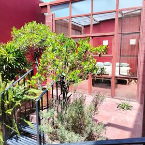 Casa Cosmo en venta en el centro de San Miguel de Allende- LG