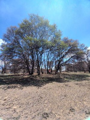 Terreno en venta a 10 minutos del centro de Villa del carbón, Edo Méx