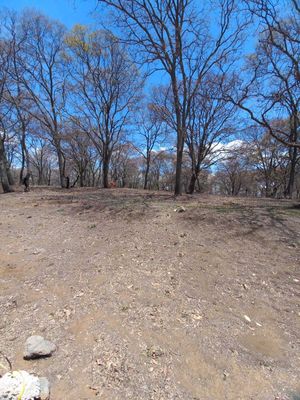 Terreno en venta a 10 minutos del centro de Villa del carbón, Edo Méx