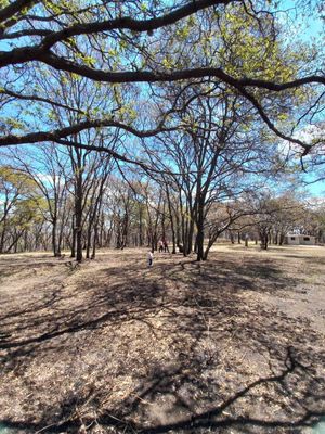 Terreno en venta a 10 minutos del centro de Villa del carbón, Edo Méx