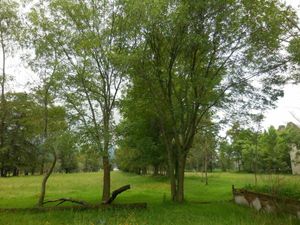 TERRENO EN VENTA EN JILOTEPEC NO EJIDAL*