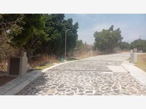 Terreno en Venta en Lomas de Atzingo Cuernavaca