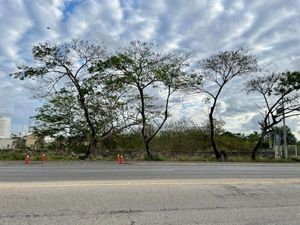 Terreno sobre Carretera Mérida-Motul, Yucatán