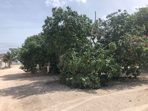 Casa en la playa en Telchac Puerto, Yucatán de 1 piso con chapóteadero.