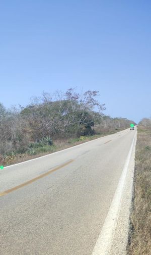 CARRETERA MERIDA - CELESTUN; VENTA DE 5 HECTAREAS