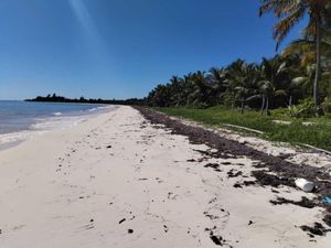 Casa en Venta en Mahahual Othón P. Blanco