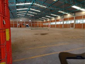 Nave en Venta en San Cristóbal Huiloapan de Cuauhtémoc