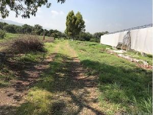 Predio en REMATE por cambio de residencia en Ex Hacienda San Antonio Calichar