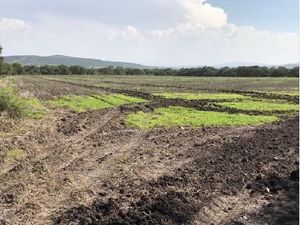 Predio en REMATE por cambio de residencia en Ex Hacienda San Antonio Calichar