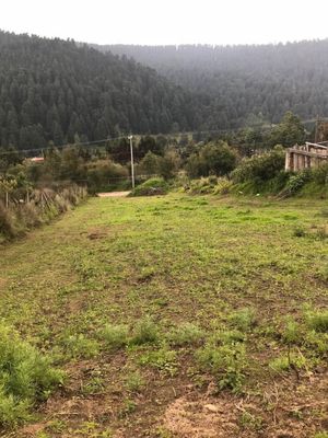 Terreno unifamiliar en Venta - Cañada de Alferez, Lerma