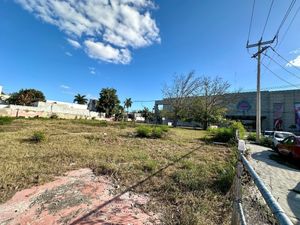 Terreno comercial en Renta en esquina, Circuito Colonias, Col. México, Mérida.