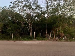 Terreno en Renta en Mérida, Temozon Norte