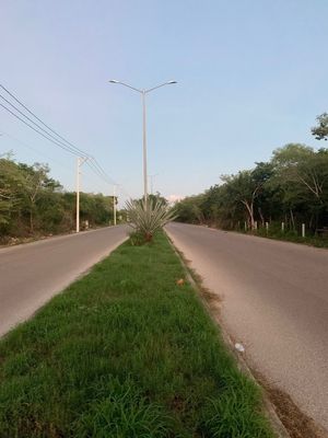 Terreno en Renta en Mérida, Temozon Norte