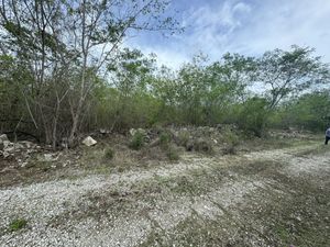 Terreno en Tamanche, Mérida, Yucatán