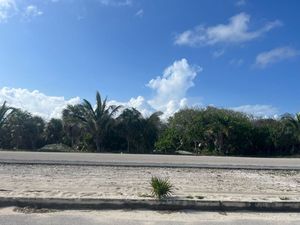 Terreno en Venta en Cozumel, Qroo