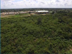 Terreno en Venta en Merida, para desarrollo Habitacional, Kanasin