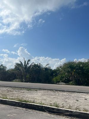 Terreno en Venta en Cozumel, Qroo