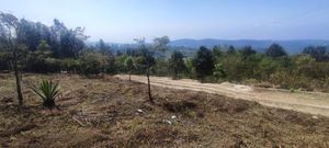 LAND FOR SALE CLOSE TO THE SERGIA TORRES CABINS