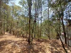 Terreno en Venta, Corral de Piedra