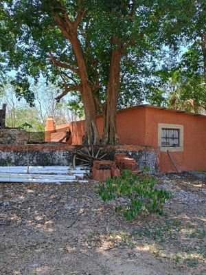 HERMOSA QUINTA EN VENTA MERIDA, SAMAHIL (AVC-2331)