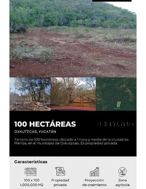 TERRENO DE 100 HECTAREAS EN VENTA MERIDA OXKUTZCAB (AVT-1255)