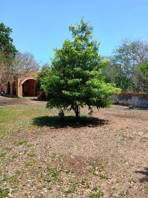 HERMOSA QUINTA EN VENTA MERIDA, SAMAHIL (AVC-2331)