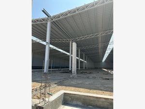 Nave en Renta en Centro San Martín Texmelucan