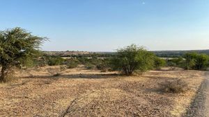 TERRENO EN VENTA CARRETERA A DOLORES HIDALGO - EG