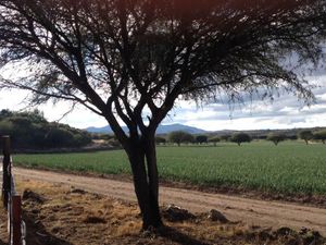 GCH-Rancho las Águilas en Dolores Hidalgo