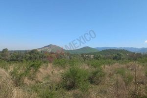 Country Land for Sale in Comonfort, Guanajuato