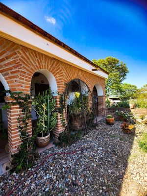 A charming, country cottage a few steps away from Cieneguita