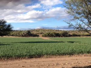 GCH-Rancho las Águilas en Dolores Hidalgo