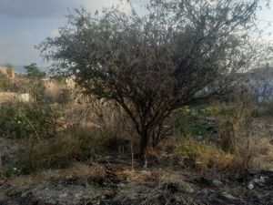 Terreno en venta para construir tu casa en San Miguel de Allende.