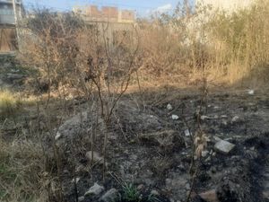 Terreno en venta para construir tu casa en San Miguel de Allende.