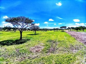 Los Senderos Lots: Four 21,527 ft2 lots for building home w/horse stable! MG