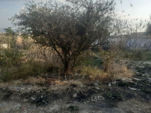 Terreno en venta para construir tu casa en San Miguel de Allende.