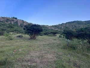 LAND FOR SALE IN ALCOCER, WITH BEAUTIFUL VIEWS, SAN MIGUEL DE ALLENDE