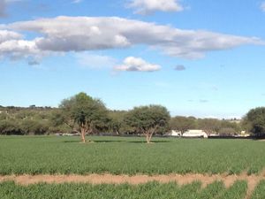 GCH-Rancho las Águilas en Dolores Hidalgo