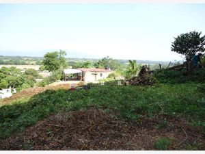 Terreno en Venta en El Ranchito (El Colesio) Puerto Vallarta