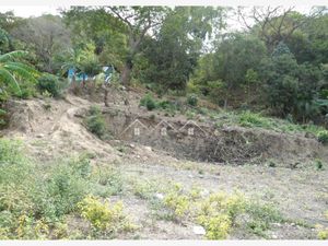 Terreno en Venta en El Ranchito (El Colesio) Puerto Vallarta