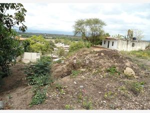 Terreno en Venta en El Ranchito (El Colesio) Puerto Vallarta