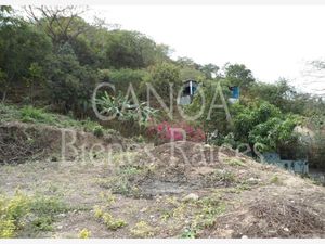 Terreno en Venta en El Ranchito (El Colesio) Puerto Vallarta