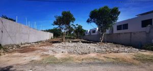 Terreno en Dzitya de 1,000 m2