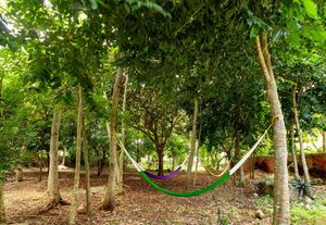 Hacienda de 300 ha y cenote privado, en venta en Tecoh