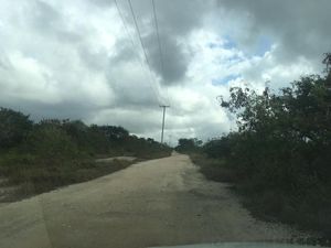Terreno en venta por hectárea en carretera Mérida- Chicxulub