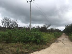 Terreno en venta por hectárea en carretera Mérida- Chicxulub