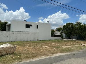 Terreno de 750 m2 en esquina en renta en Monte Albán