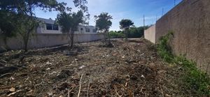 Terreno en Dzitya de 1,000 m2