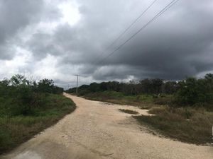 Terreno en venta por hectárea en carretera Mérida- Chicxulub