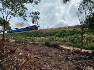 Terreno de 11,889 m2 en Dzununcán Yucatán | Cerca del Tren Maya